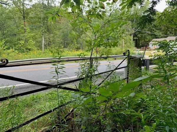 a view of a lush green forest