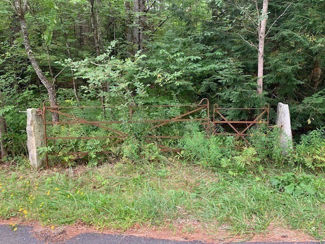 289 Monterey Road Otis, MA 01253 - Photo 24 of 42 a view of a garden with a bench and trees
