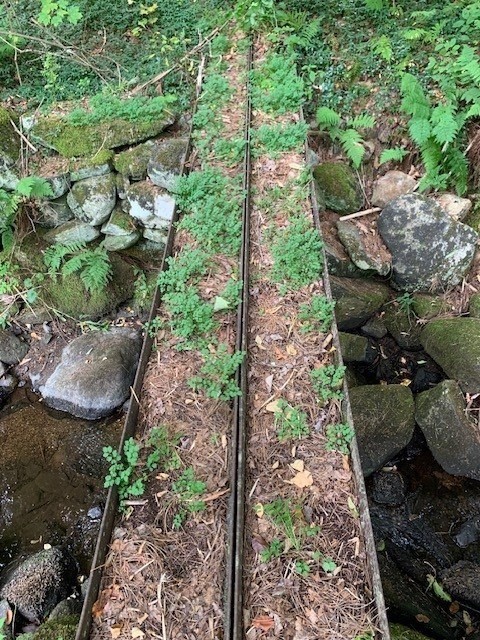 289 Monterey Road Otis, MA 01253 - Photo 3 of 42 a view of a garden with plants