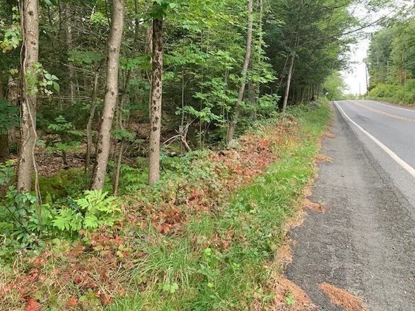 a view of a road with a yard