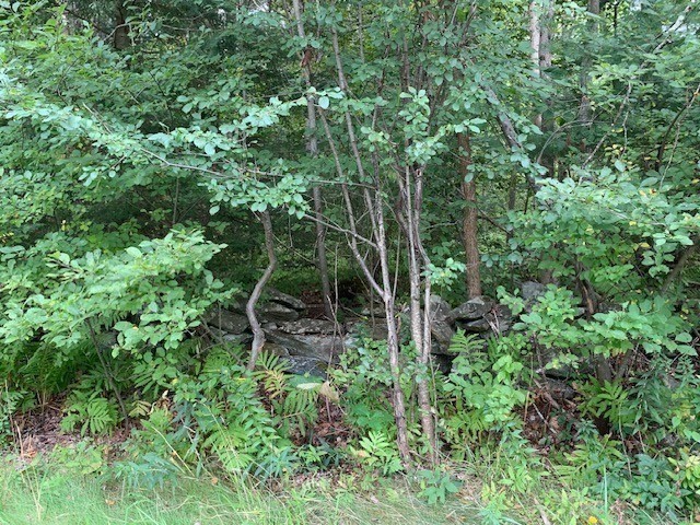 289 Monterey Road Otis, MA 01253 - Photo 37 of 42 an aerial view of a house with a lush green forest