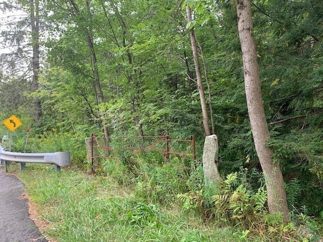 289 Monterey Road Otis, MA 01253 - Photo 40 of 42 a view of a garden with plants