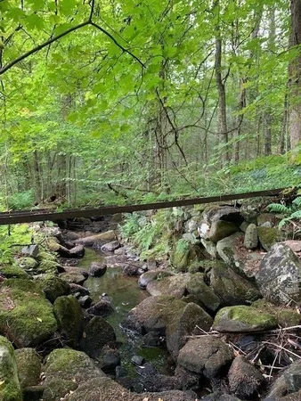 a backyard of a house with lots of green space