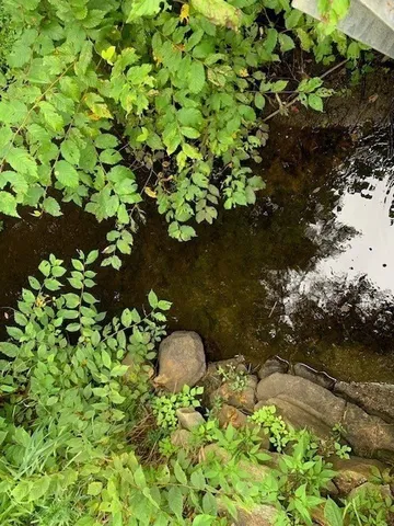 a backyard of a house