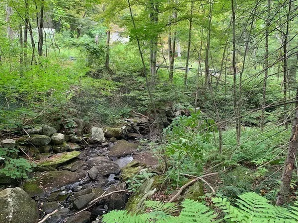a view of a garden