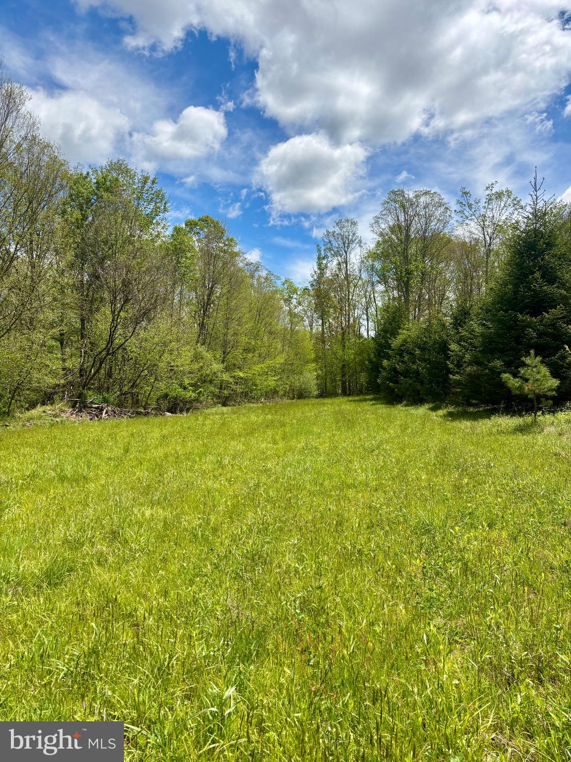 2800 Center Hill Road Brookville, PA 15825 - Photo 7 of 34