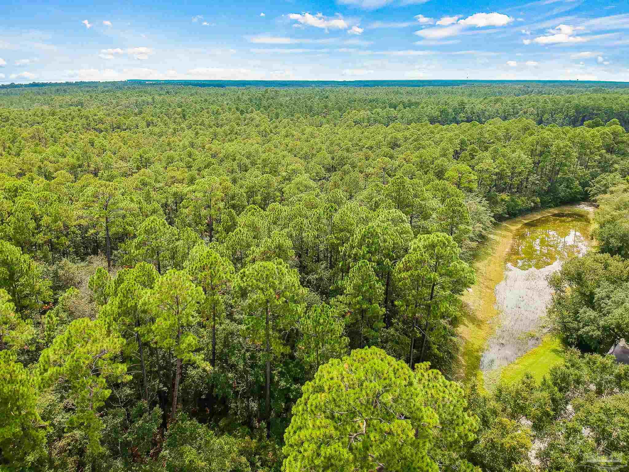 Lot 08 Old Bay Pointe Road Milton, FL 32583 - Photo 14 of 20 Gallery Image 14