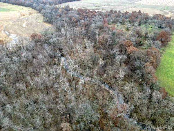 $105,000 | 0 Pyrite Drive, Louisville, IL 62858