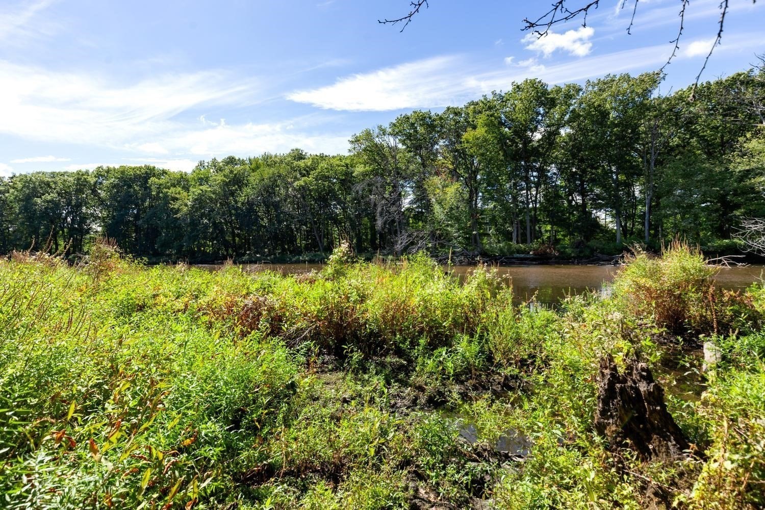 470 Quinobequin Road Newton, MA 02468 - Photo 42 of 42 Gallery Image 42