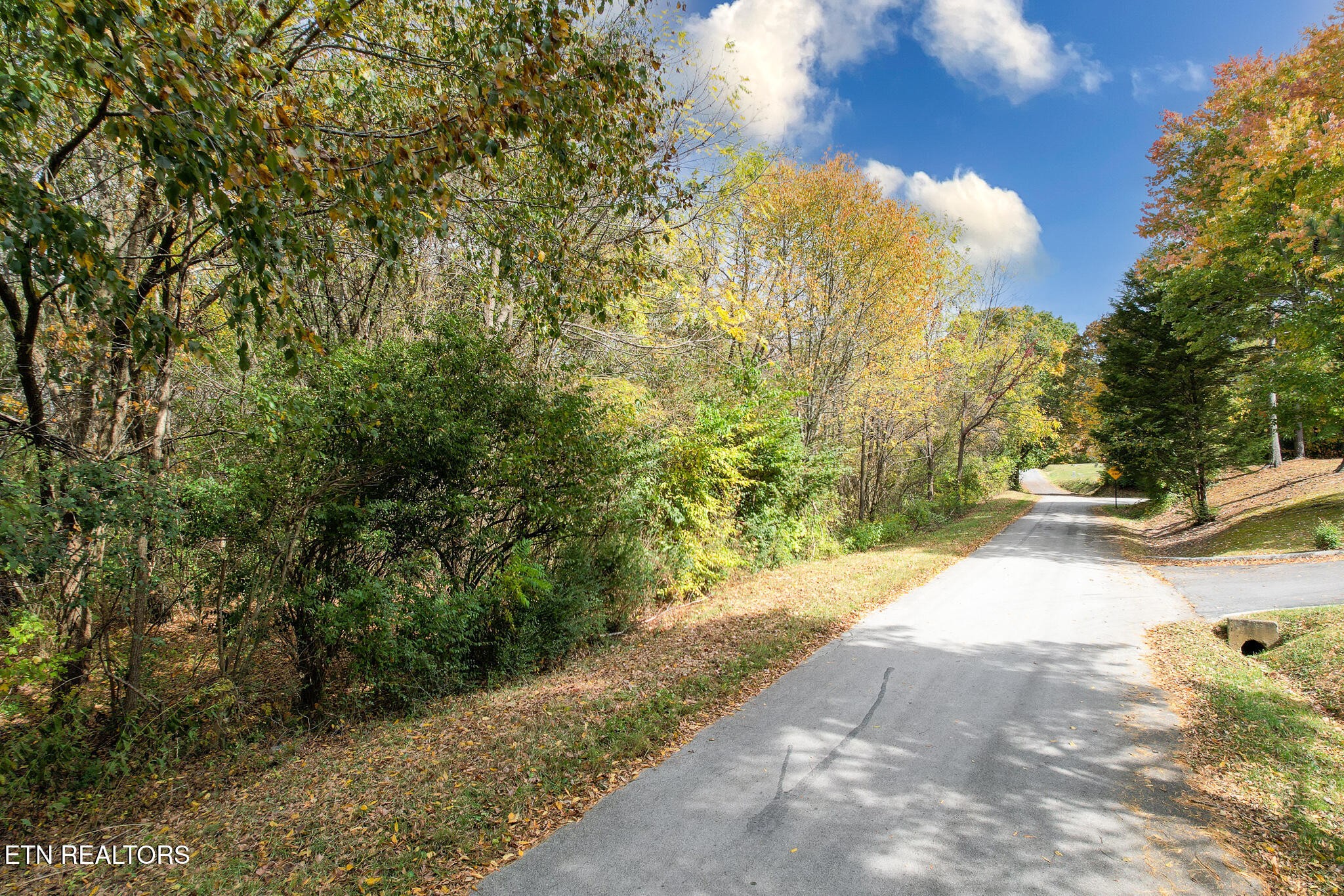 0 Morelock North 25e Road Morristown, TN 37814 - Photo 26 of 32 Gallery Image 26