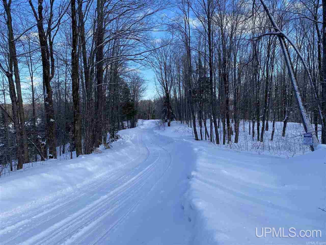 On On Chaney Cove Road, Unit LOT 1 Bessemer, MI 49911 - Photo 26 of 28