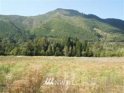 400 Dodge Road, Unit LOT 1 Morton, WA 98356 - Photo 1 of 1 Gallery Image 1