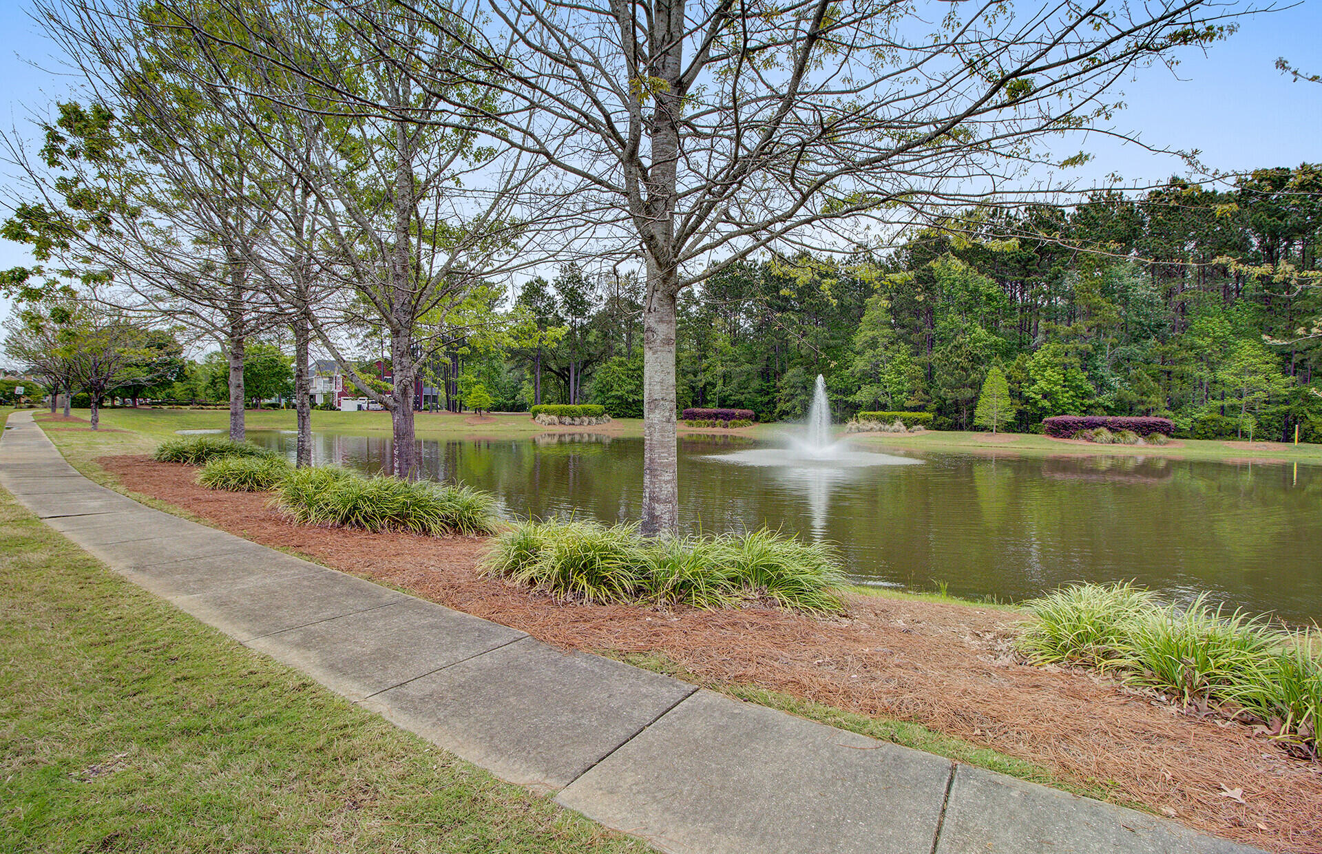 116 Ancestry Lane Moncks Corner, SC 29461 - Photo 55 of 66