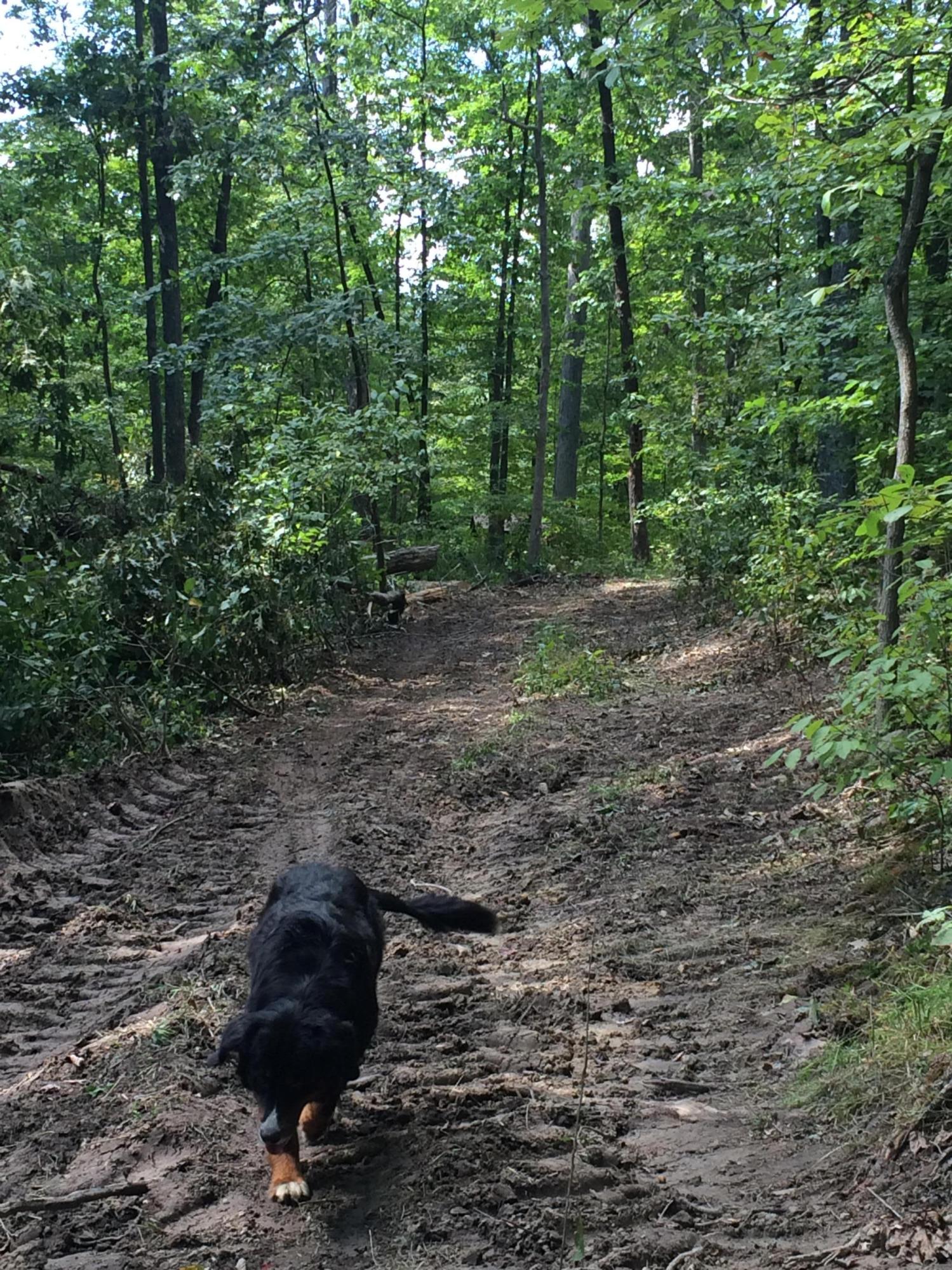 11483 Edgington Road Danville, OH 43014 - Photo 17 of 26