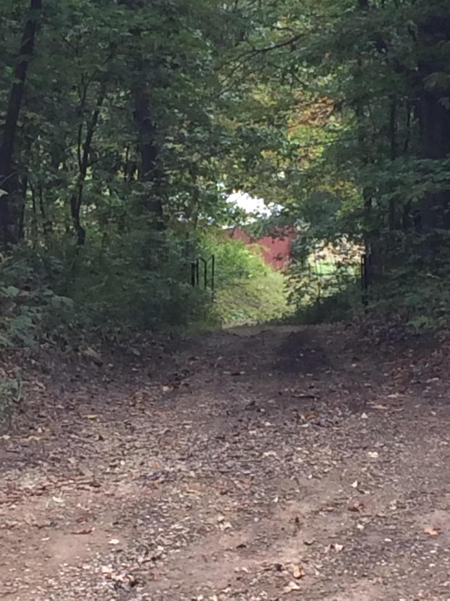 11483 Edgington Road Danville, OH 43014 - Photo 25 of 26
