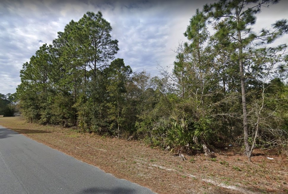 Lot 31 Springhill Road Fernandina Beach, FL 32034 - Photo 1 of 1 Gallery Image 1