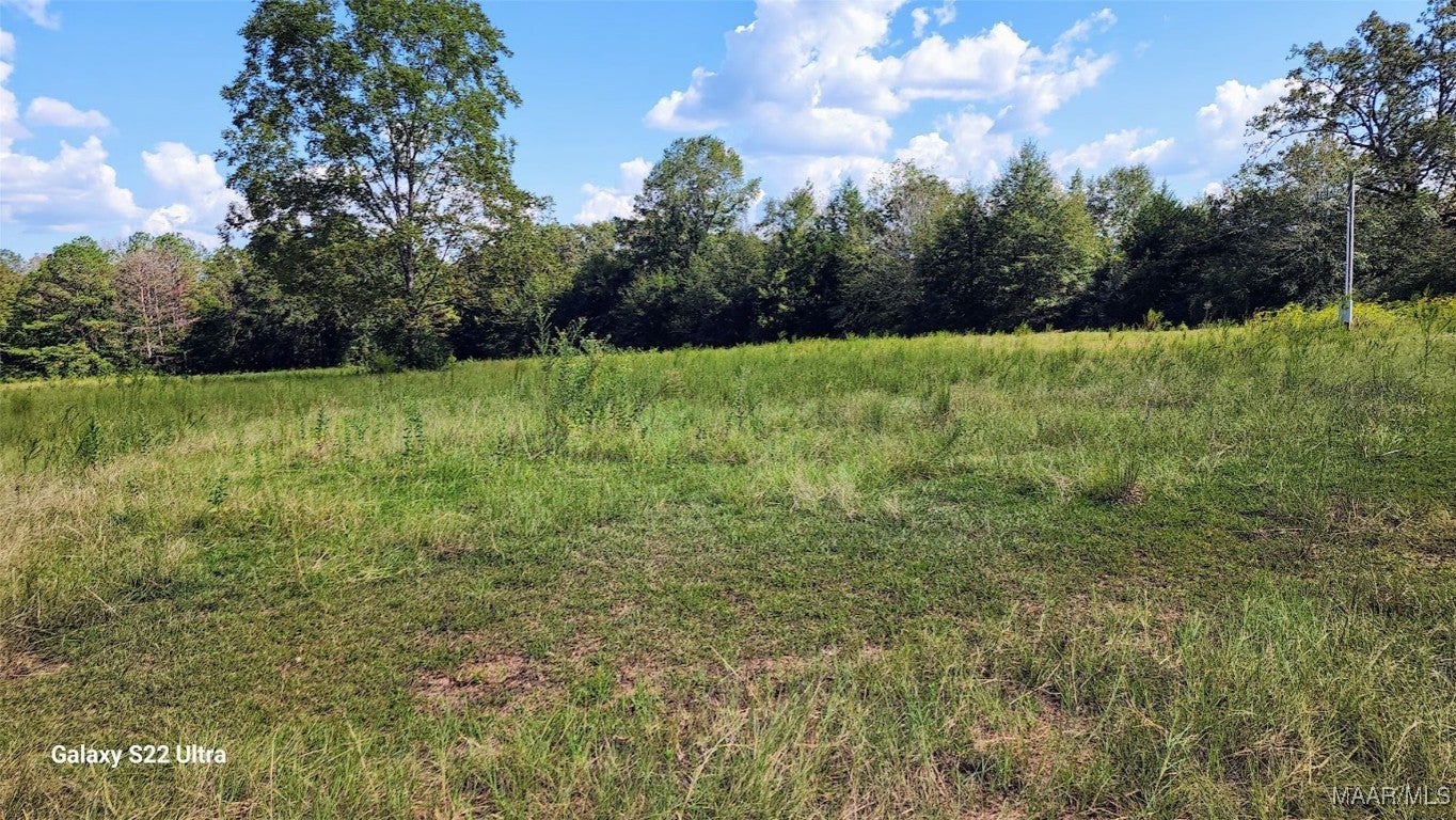 33668 Caraway Road Red Level, AL 36474 - Photo 13 of 15 field to the right of the houe