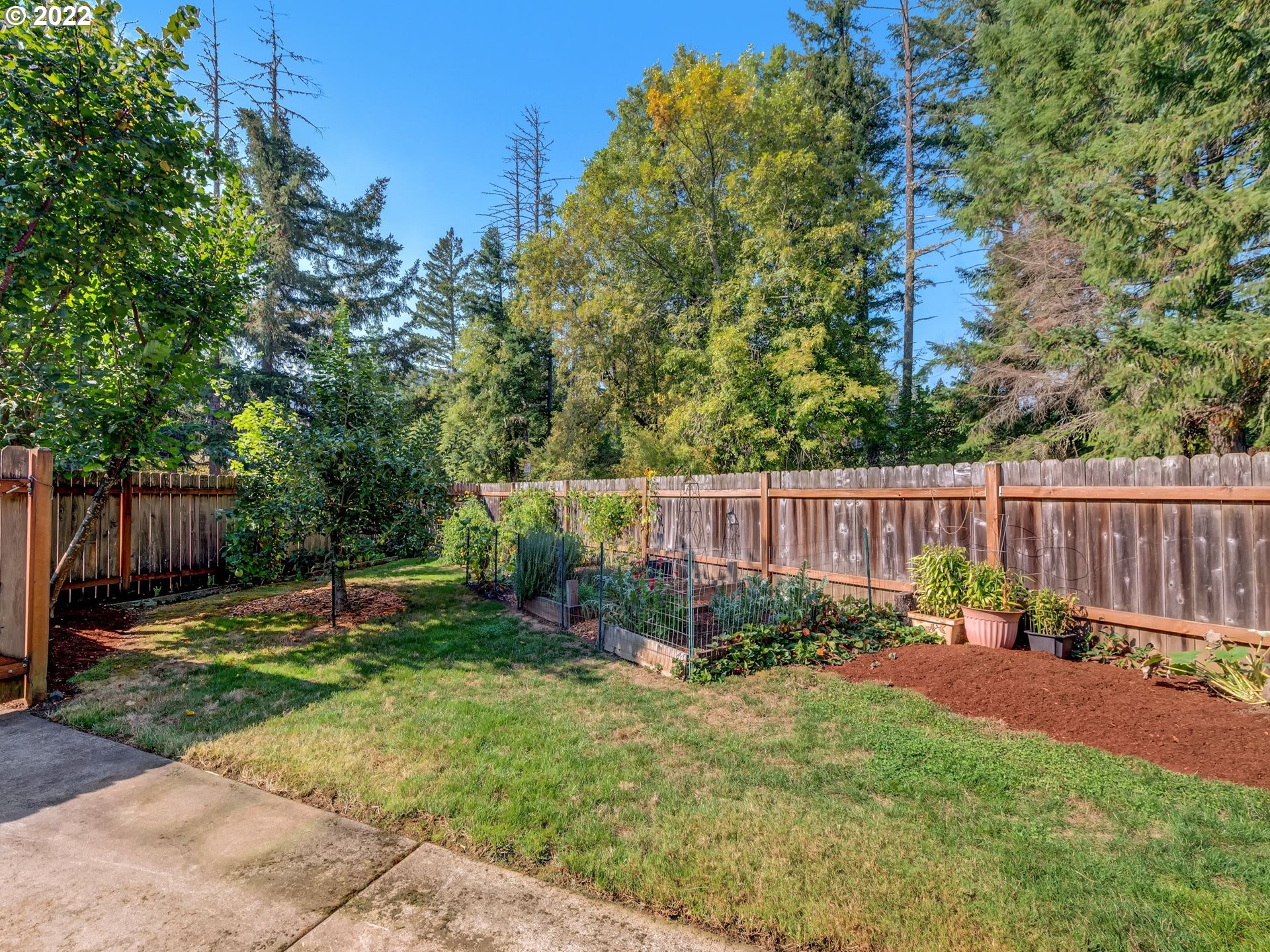 209 Pond Turtle Way Cottage Grove, OR 97424 - Photo 23 of 28 Backyard