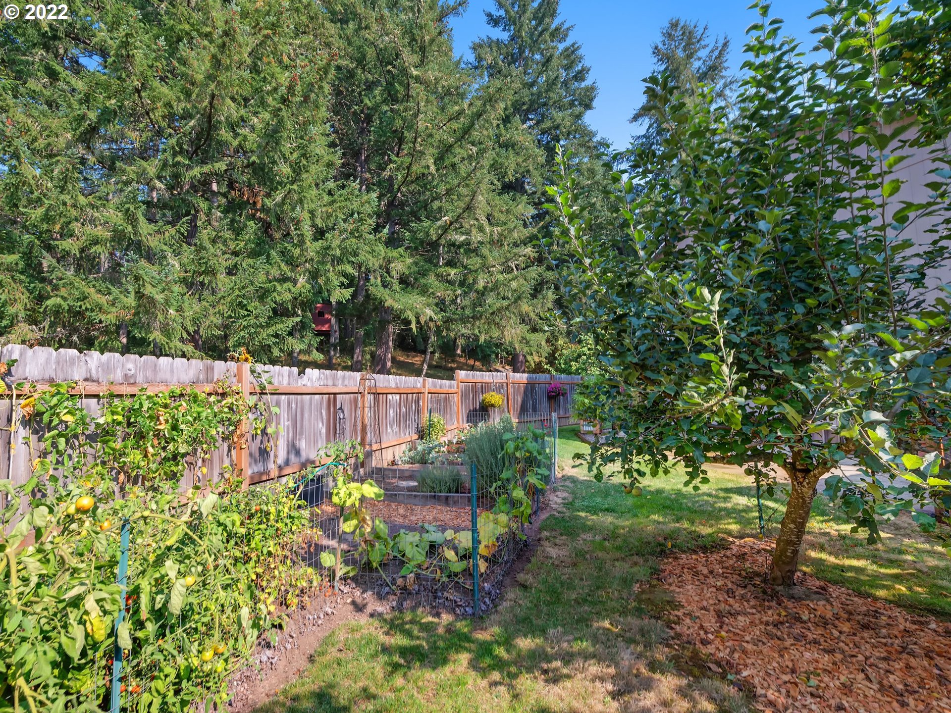 209 Pond Turtle Way Cottage Grove, OR 97424 - Photo 24 of 28 Backyard