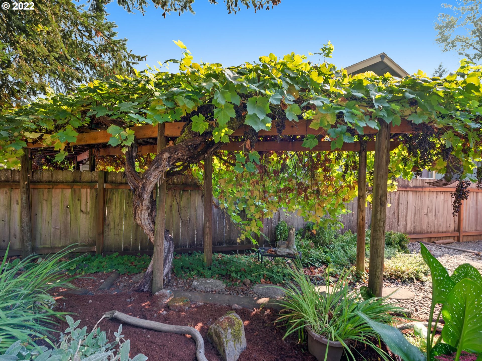 209 Pond Turtle Way Cottage Grove, OR 97424 - Photo 27 of 28 Backyard