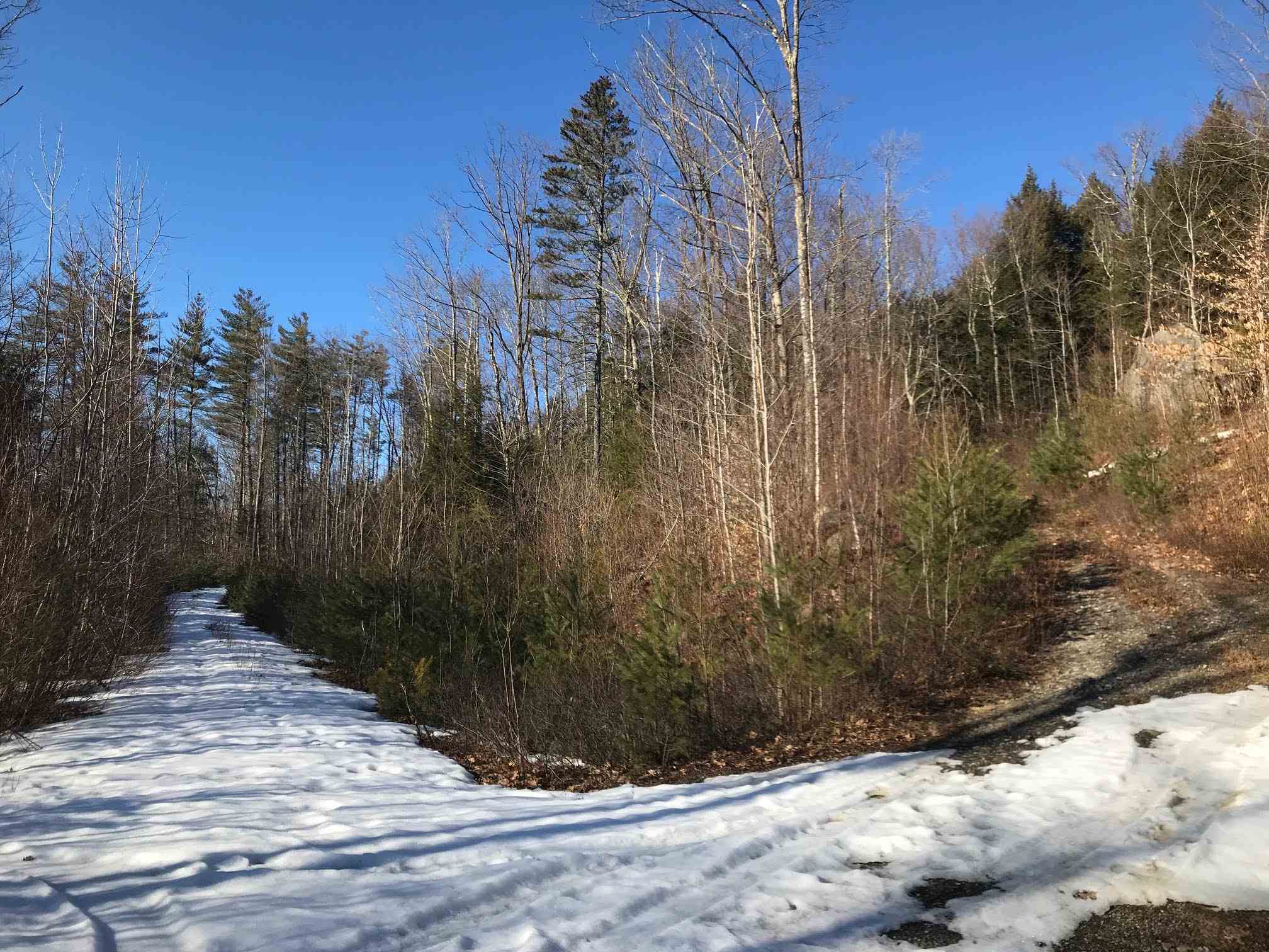 455 Bog Road Hillsborough, NH 03244 - Photo 1 of 5 Gallery Image 1