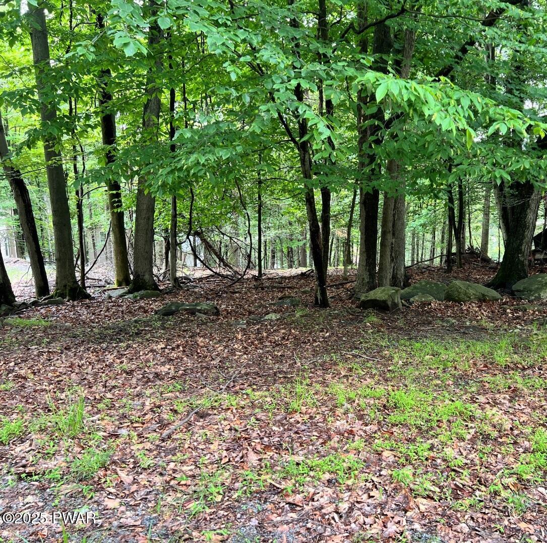 20 Mustang Road Lake Ariel, PA 18436 - Photo 1 of 10