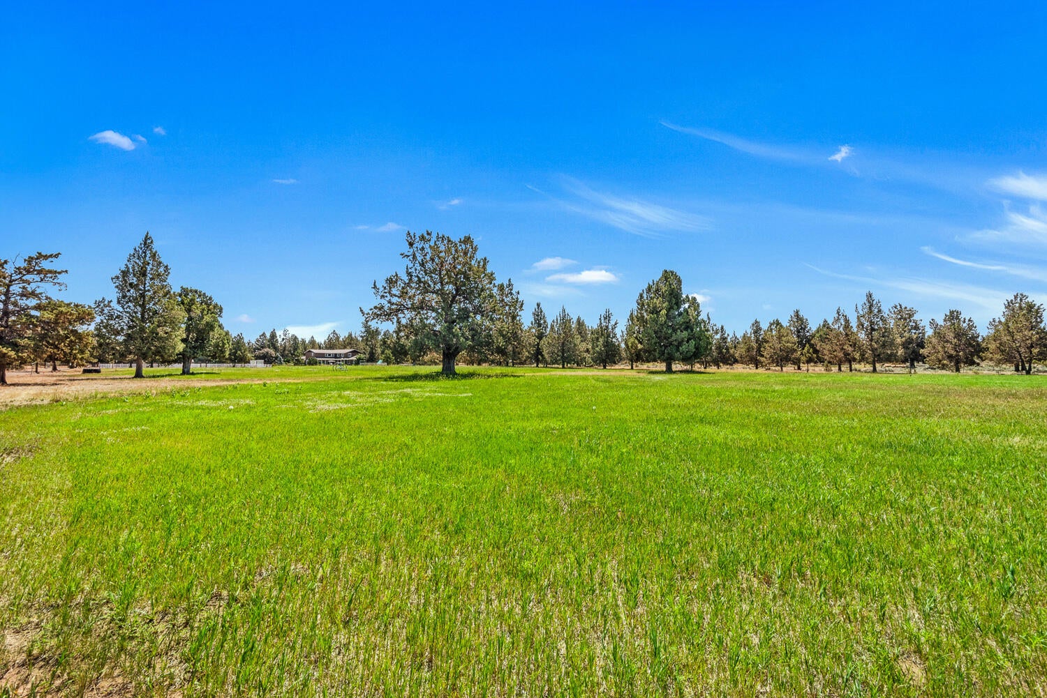 62995 Dickey Road Bend, OR 97701 - Photo 44 of 52 OReilly_20240711_65_92672_72ppi