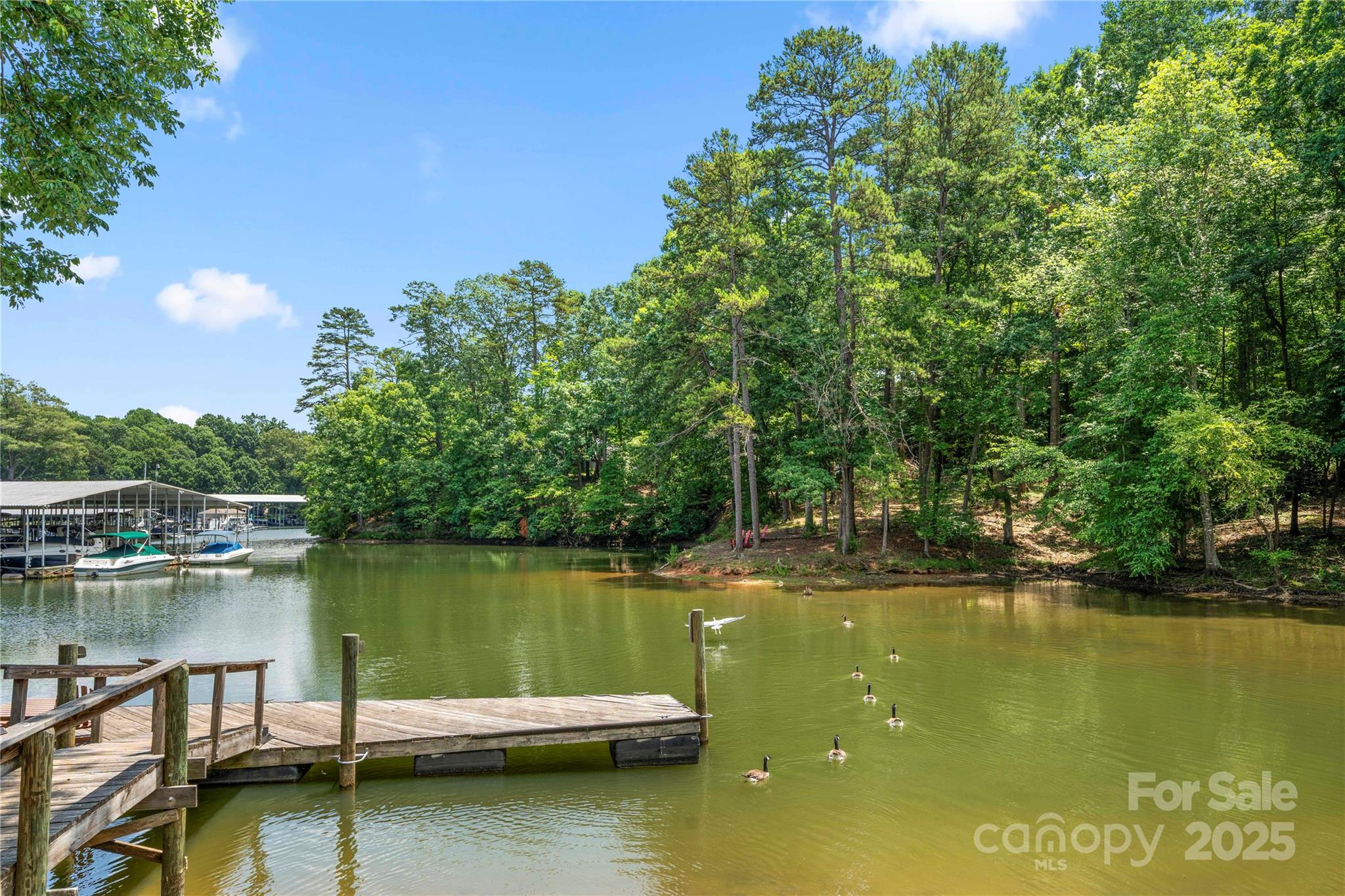 59 Ridgeport Road Clover, SC 29710 - Photo 39 of 43 Gallery Image 39