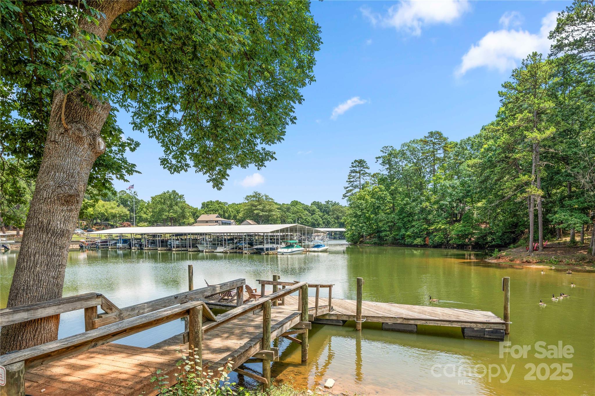 59 Ridgeport Road Clover, SC 29710 - Photo 4 of 43 Gallery Image 4