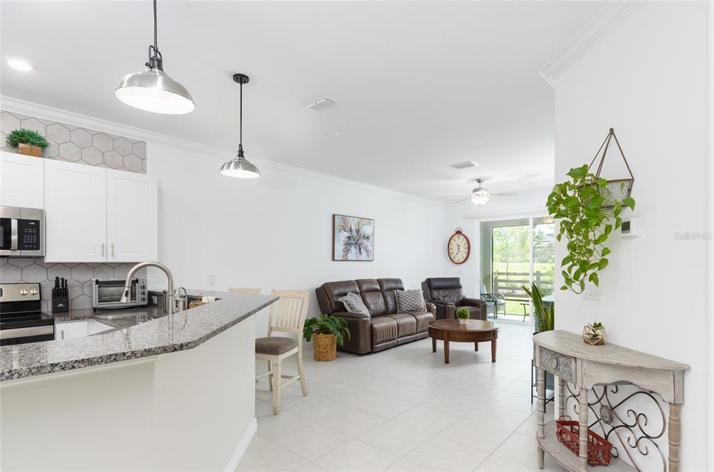 6736 Ripple Pond Loop Zephyrhills, FL 33541 - Photo 12 of 40