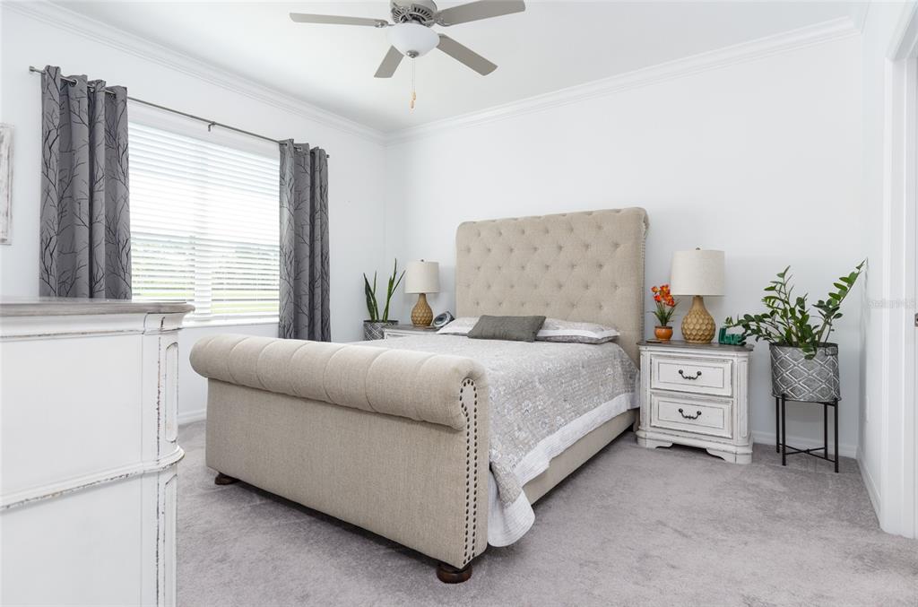 6736 Ripple Pond Loop Zephyrhills, FL 33541 - Photo 23 of 40