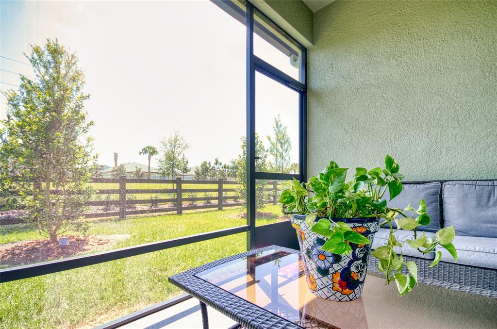 6736 Ripple Pond Loop Zephyrhills, FL 33541 - Photo 25 of 40