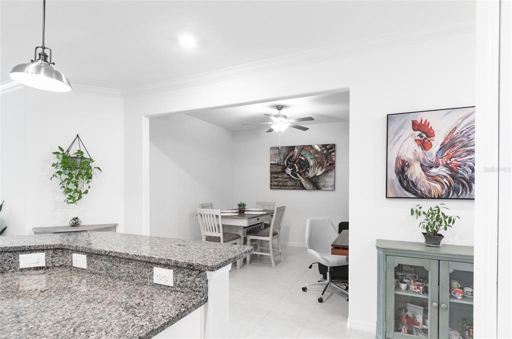 6736 Ripple Pond Loop Zephyrhills, FL 33541 - Photo 9 of 40