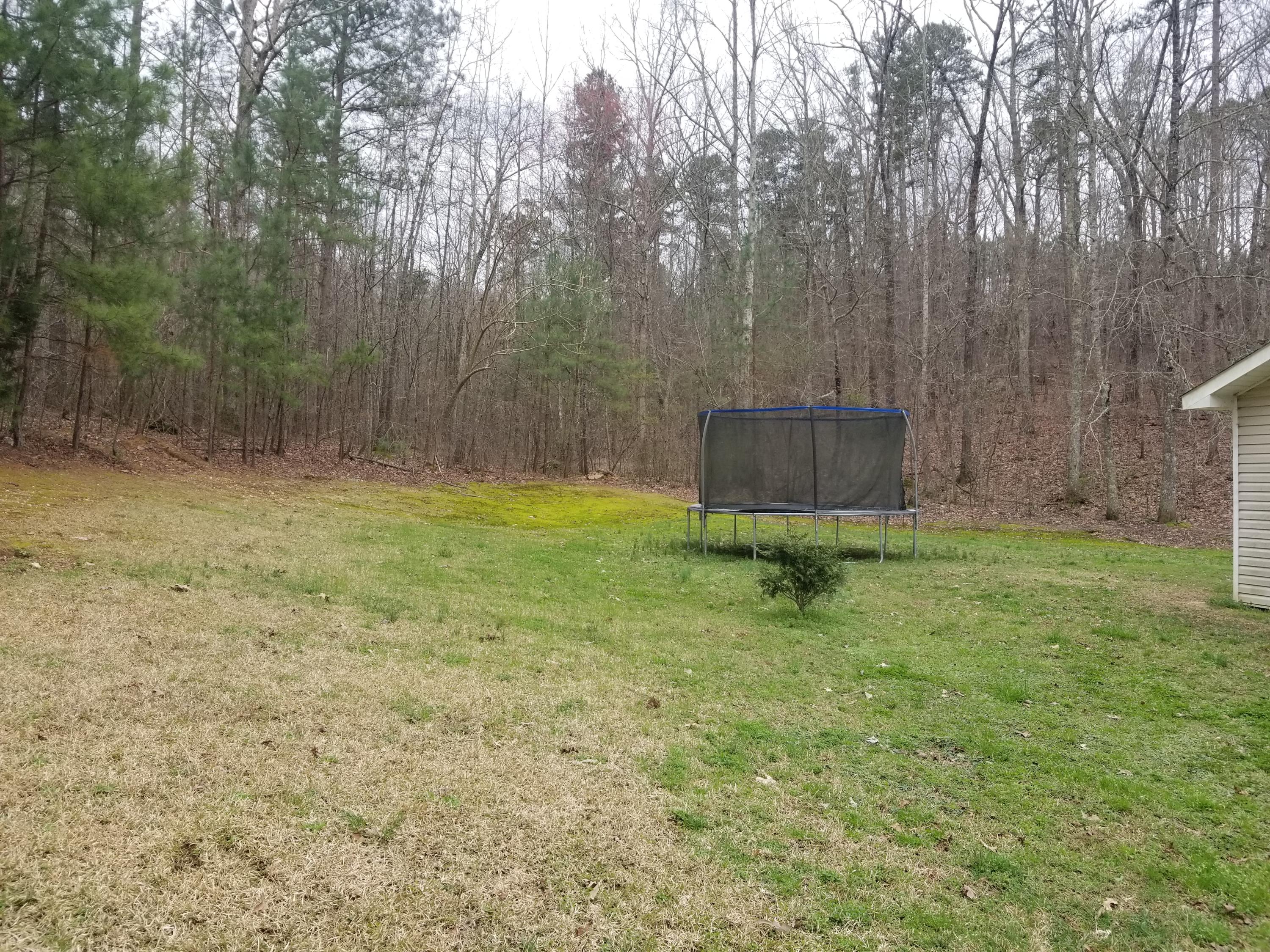 162 Raccoon Road Summerville, GA 30747 - Photo 4 of 13 20190302_164008