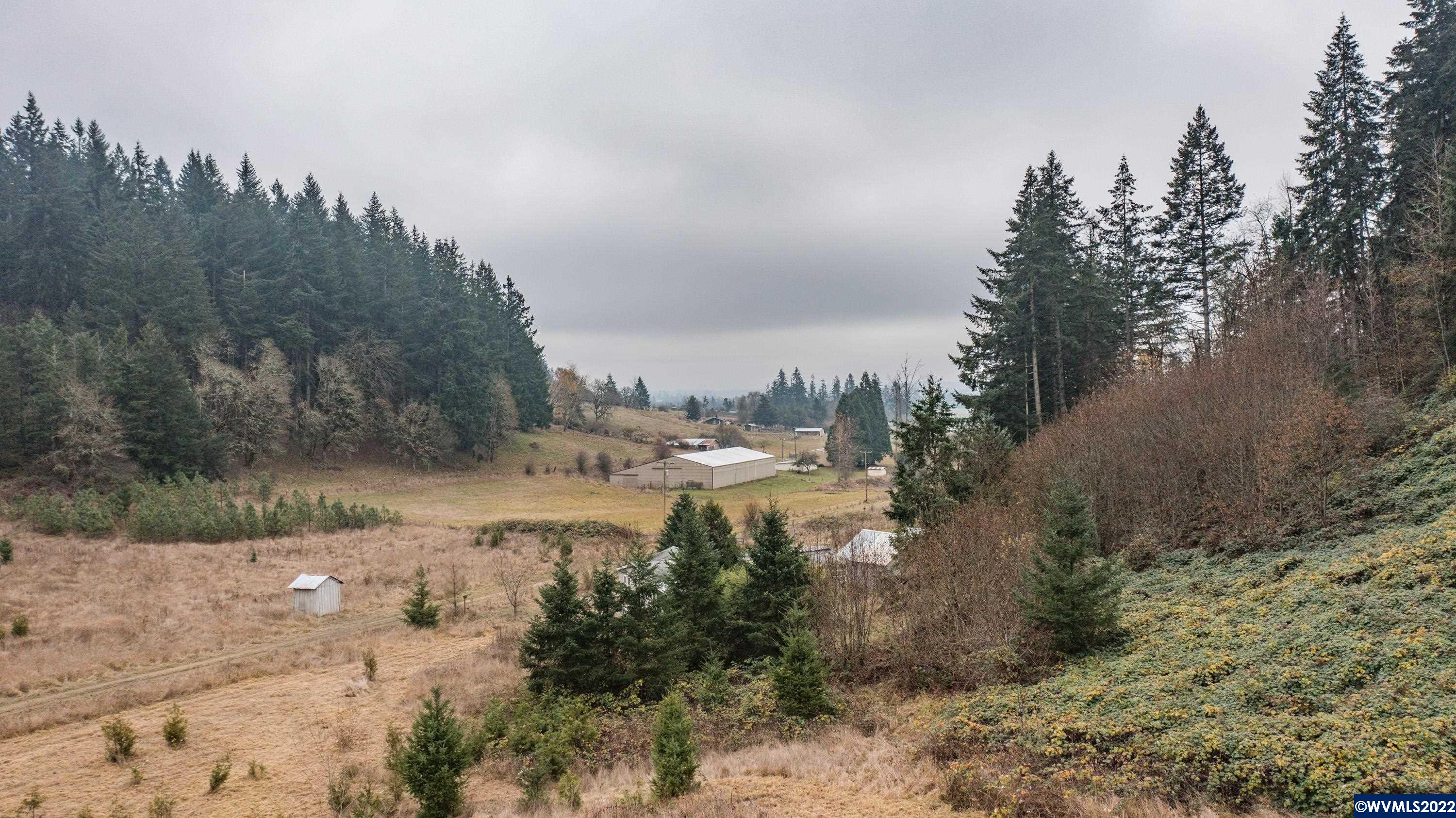 38613 Hungry Hill Road Scio, OR 97374 - Photo 2 of 16