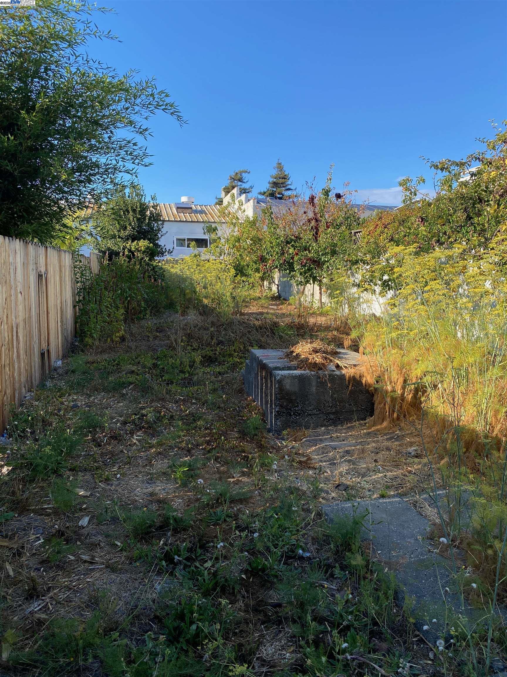 1124 63rd Street Oakland, CA 94608 - Photo 15 of 15 a view of a yard with plants and large trees