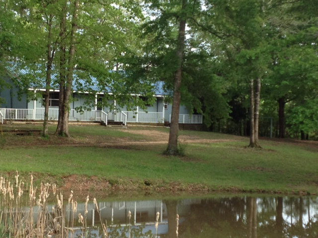 Main View