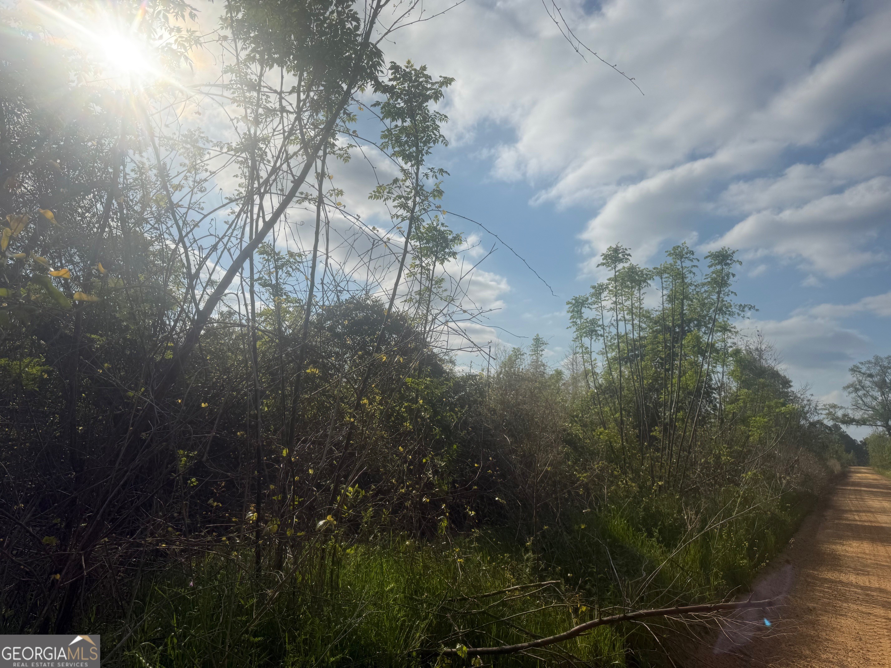 0 Earl Varnadoe Road Lumber City, GA 31549 - Photo 6 of 6