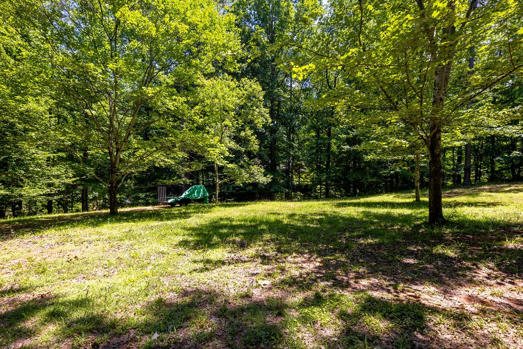 273 Timber Loop Midland, GA 31820 - Photo 25 of 49
