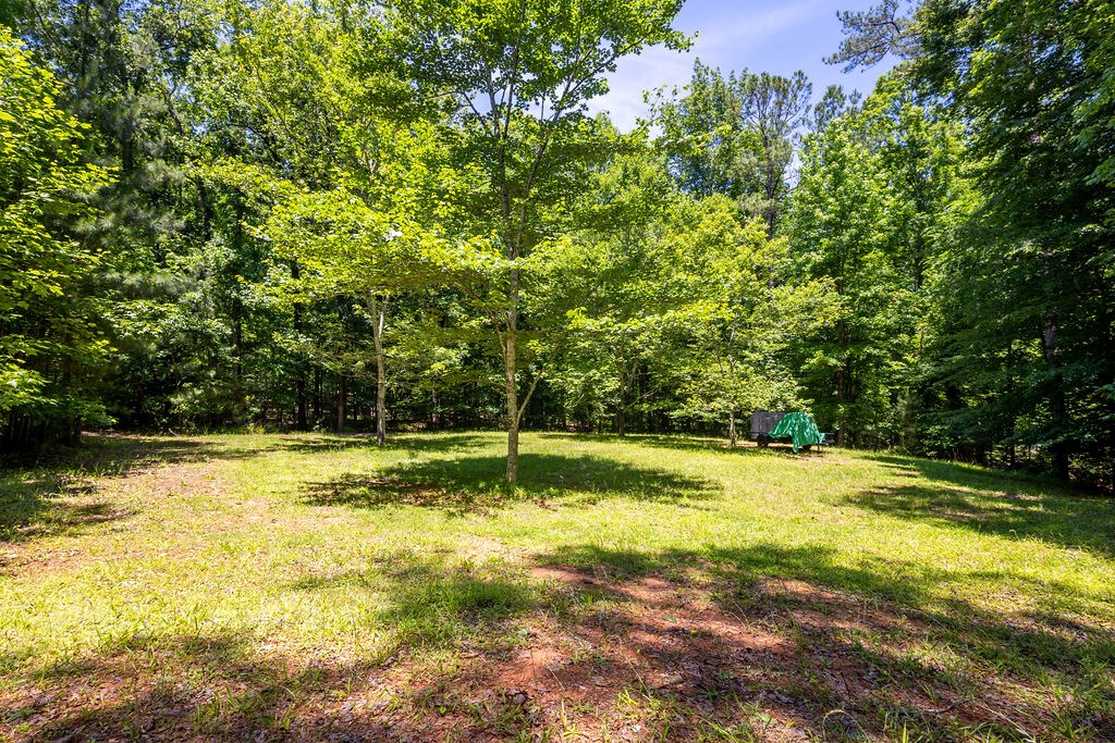 273 Timber Loop Midland, GA 31820 - Photo 26 of 49