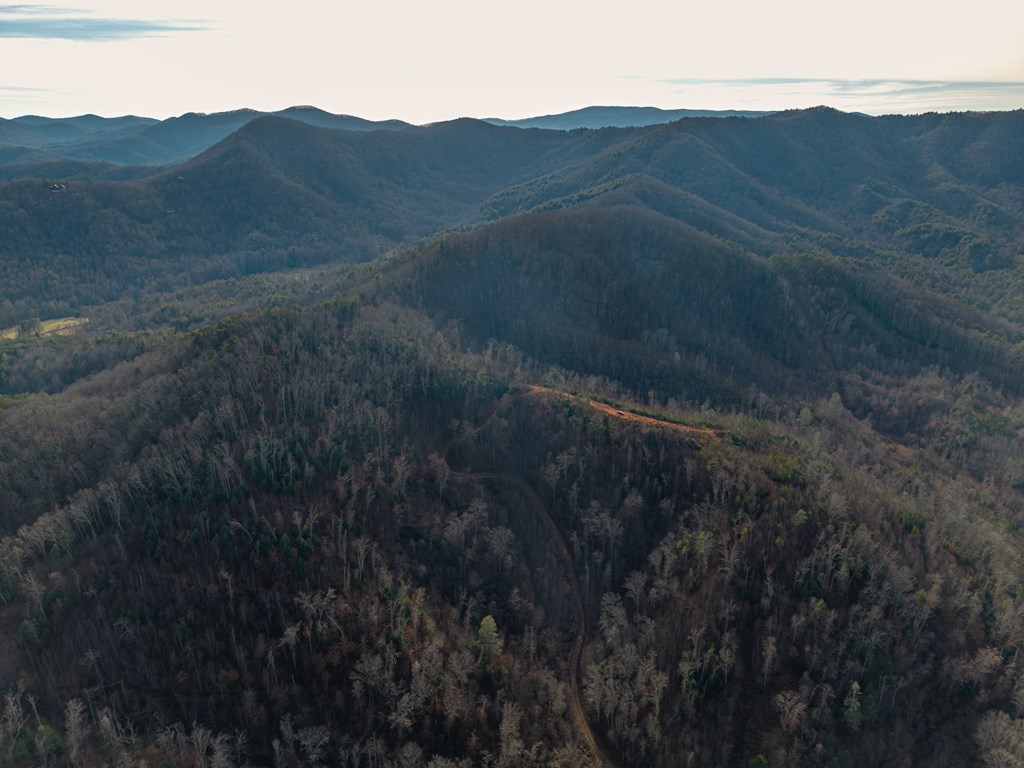 156-ac Higdon Creek Road Blue Ridge, GA 30513 - Photo 11 of 39 a view of a mountain in the distance