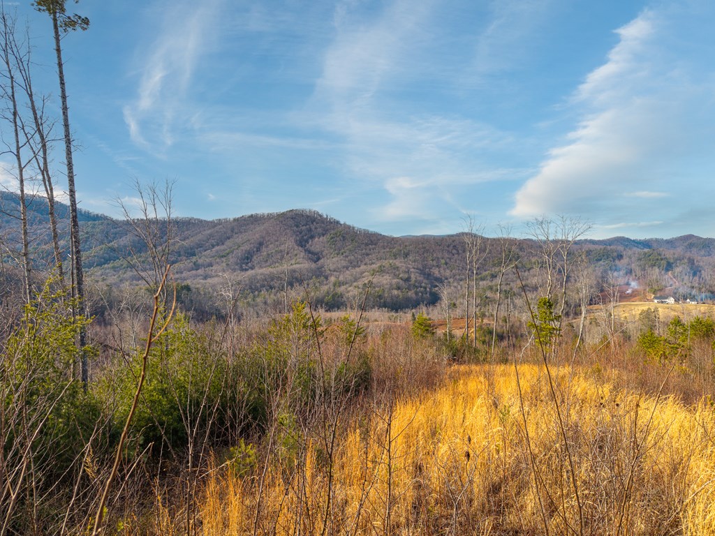156-ac Higdon Creek Road Blue Ridge, GA 30513 - Photo 12 of 39 a view of lake and mountain