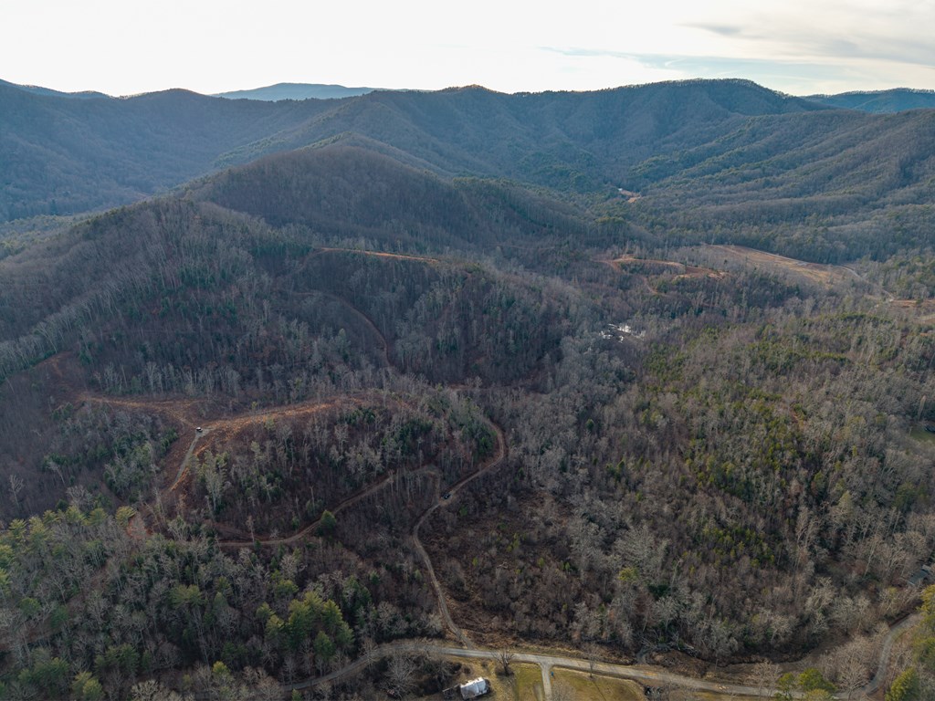 156-ac Higdon Creek Road Blue Ridge, GA 30513 - Photo 19 of 39 a view of a mountain range with a forest