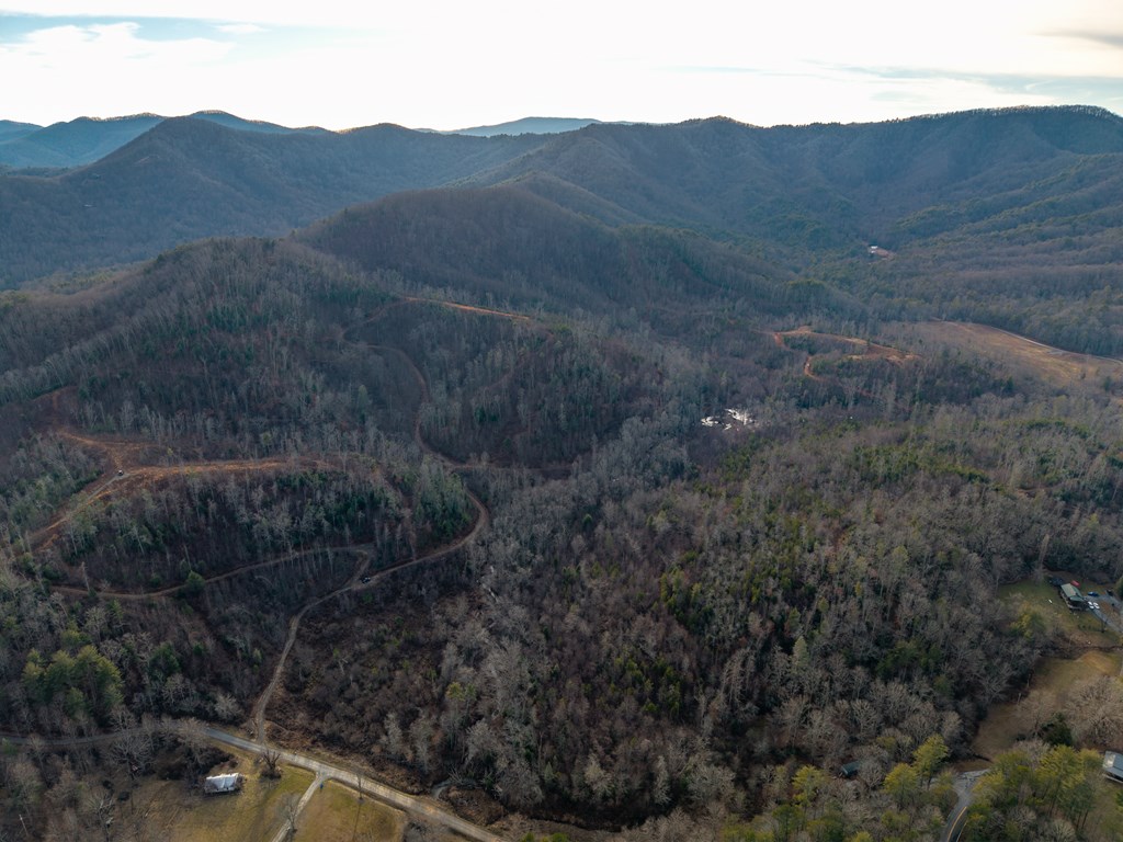 156-ac Higdon Creek Road Blue Ridge, GA 30513 - Photo 20 of 39 a view of a mountain in a field
