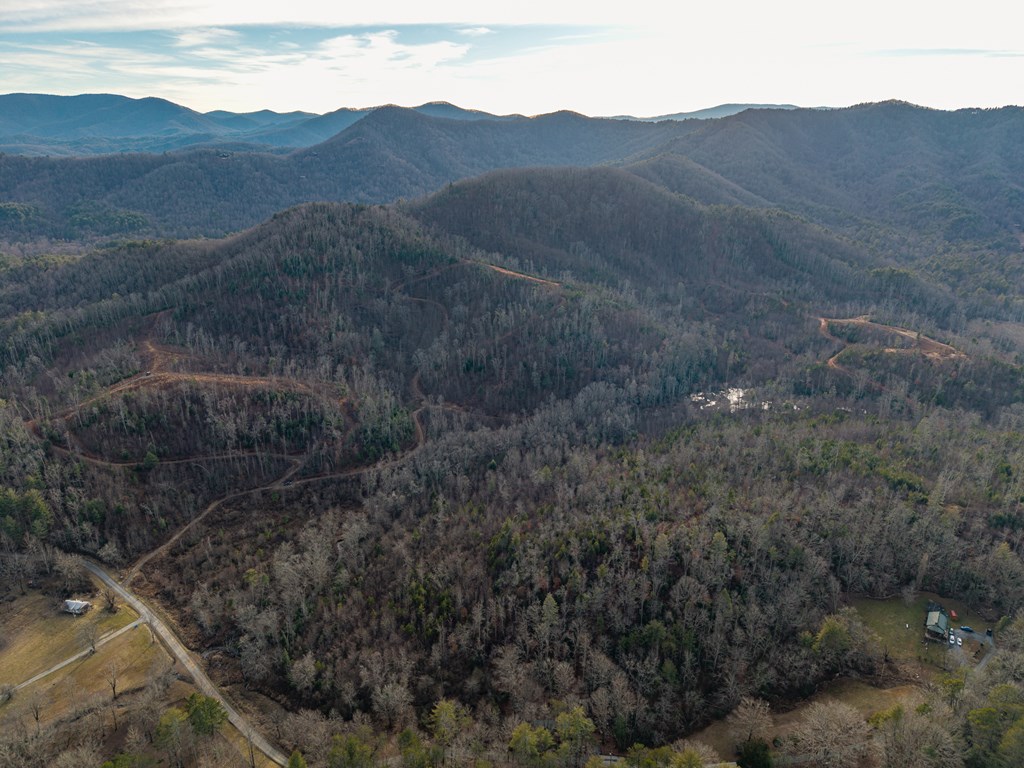 156-ac Higdon Creek Road Blue Ridge, GA 30513 - Photo 21 of 39 a view of a mountain in the distance