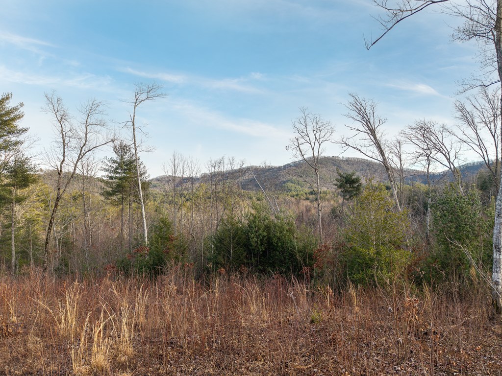 156-ac Higdon Creek Road Blue Ridge, GA 30513 - Photo 24 of 39 a view of a yard