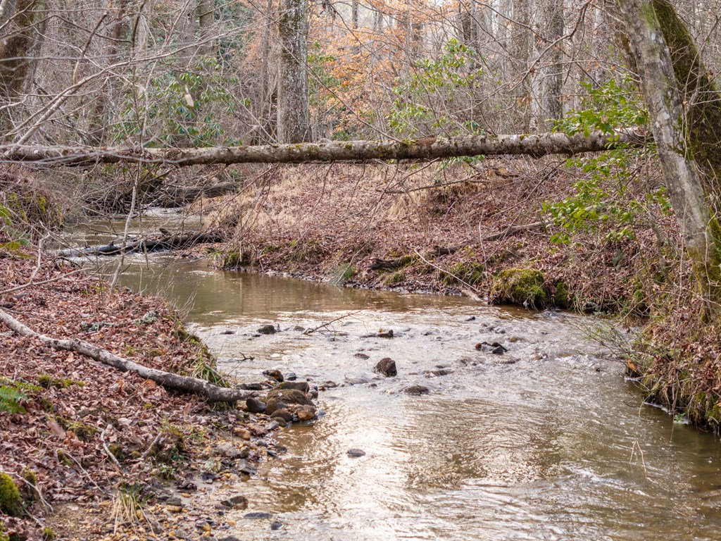 156-ac Higdon Creek Road Blue Ridge, GA 30513 - Photo 26 of 39