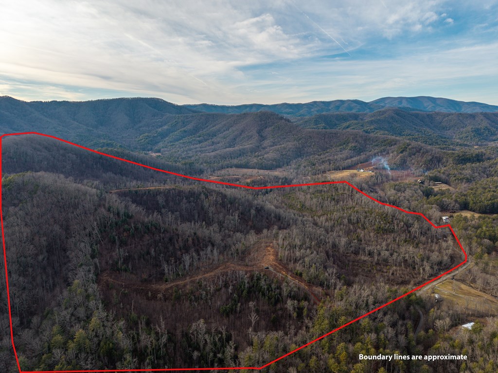 156-ac Higdon Creek Road Blue Ridge, GA 30513 - Photo 3 of 39 a view of a mountain