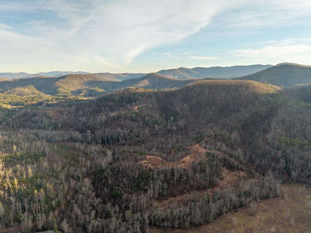 156-ac Higdon Creek Road Blue Ridge, GA 30513 - Photo 31 of 39 a view of mountains and valleys