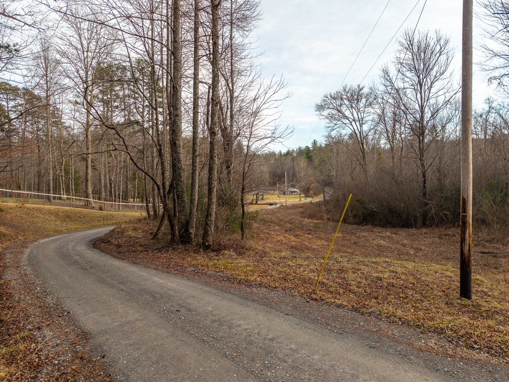 156-ac Higdon Creek Road Blue Ridge, GA 30513 - Photo 35 of 39 a view of backyard with green space
